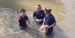 Masih Berlanjut, 76 Ekor Ikan Sapu-sapu di Kali Angke Berhasil Terjaring Operasi Gabungan Sudin KPKP dan UPK Jakarta Barat! 