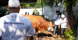 Sambut Idul Adha, BNI Salurkan Bantuan Kurban ke Berbagai Wilayah Indonesia