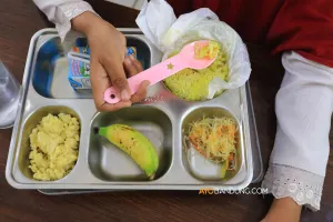 Ilustrasi Makan Bergizi Gratis (MBG). (Sumber: AYOBANDUNG.COM)