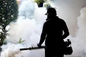 Salah satu upaya pencegahan Demam Berdarah Dengue (DBD), Puskesmas Kecamatan Pademangan, Jakarta Utara terapkan 3M Plus kepada masyarakat. (Sumber: beritajakarta.id | Foto: beritajakarta.id)