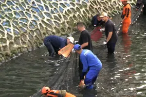 Pemprov DKI Jakarta akan mengintensifkan pengerukan sedimen dan pembersihan aliran sungai secara serentak di lima wilayah kota administrasi Jakarta (Sumber: beritajakarta.id | Foto: beritajakarta.id)