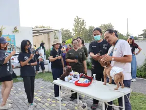 Pet First Aid Workshop 2026 (PawSAFE) di Le Gareca Space, Yogyakarta, Minggu, 19 April 2026.