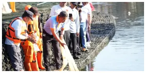 Wali Kota Jakarta Timur, Munjirin, memimpin pengendalian ikan sapu-sapu di Embung Kaja (Sumber: beritajakarta.id)