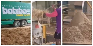 Bobibos Akhirnya Resmi Memproduksi Bahan Bakar di Timor Leste (Sumber: Instagram @bobibos_)