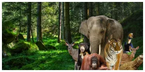 Taman Margasatwa Ragunan atau TMR (Sumber: ragunanzoo.jakarta.go.id)