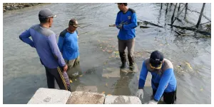 Sudin SDA Perkuat Tanggul Pantai di Pulau Lancang (Sumber: beritajakarta.id)