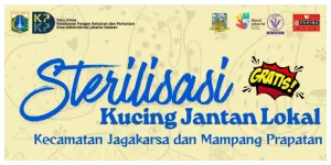Program Sterilisasi Kucing Lokal Gratis (Sumber: Instagram @sudin.kpkp.jaksel)