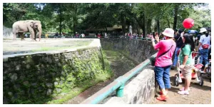 Taman Margasatwa Ragunan (TMR) Ramai Pengunjung (Sumber: beritajakarta.id)