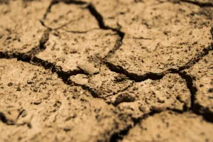 Ilustrasi Kekeringan Dampak El Nino. (Sumber: Pixabay/daeron)