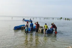 Sebanyak 2.671 unit substrat karang resmi diturunkan di empat pulau kawasan Kepulauan Seribu pada Selasa (23/6/2026). (Sumber: beritajakarta.id | Foto: beritajakarta.id)