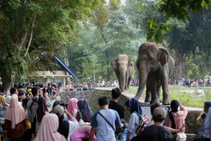 Taman Margasatwa Ragunan (TMR) (Sumber: beritajakarta.id | Foto: beritajakarta.id)