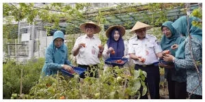 Urban Farming di DKI Jakarta (Sumber: beritajakarta.id)