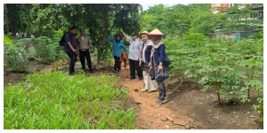 Kelurahan Kebon Kosong Sulap Lahan Terbengkalai Jadi Urban Farming (Sumber: beritajakarta.id)