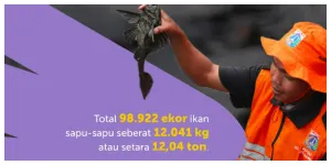 Penangkapan Ikan Sapu-sapu di DKI Jakarta (Sumber: Instagram @dkijakarta)