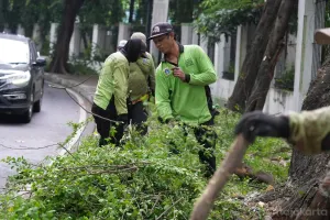 Sudin Tamhut Jakarta Utara tidak hanya fokus pada pemangkasan, tetapi juga rutin melakukan penanaman pohon setiap pekan. (Sumber: beritajakarta.id | Foto: beritajakarta.id)