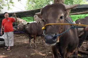 Gubernur DKI Jakarta, Pramono Anung memastikan persiapan menjelang Hari Raya Iduladha di Jakarta berjalan lancar. (Sumber: beritajakarta.id | Foto: beritajakarta.id)