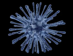 Ilustrasi. Kasus Hantavirus cara penularan hingga upaya pencegahan dari DInkes DKI Jakarta. (Sumber: Pixabay | Foto: Pixabay)