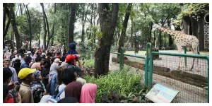 Taman Margasatwa Ragunan. (Sumber: beritajakarta.id)
