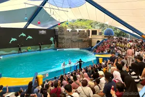 Untuk menambah daya tarik selama libur panjang, Ancol menghadirkan program khusus bertajuk BioKids Color Day pada 16-17 Mei 2026. (Sumber: Beritajakarta.id | Foto: Beritajakarta.id)