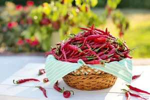 Ilustrasi. Kenaikan harga cabe merah di DKI Jakarta tembus Rp80 ribu per kg. (Sumber: pixabay| Foto: pixabay)