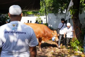 BNI menyalurkan 1.200 hewan kurban ke berbagai daerah di Indonesia pada Idul Adha 1447 H sebagai bentuk kepedulian sosial kepada masyarakat.