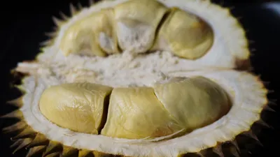 Ilustrasi durian