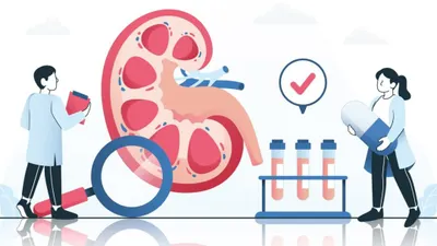 Ilustrasi. Kerusakan ginjal dapat terjadi pada manusia karena beberapa sebab, salah satunya adalah obat.