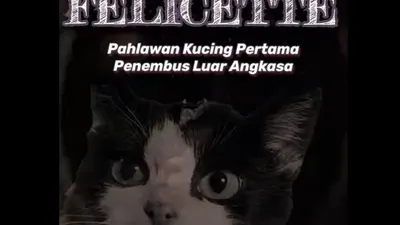 Salah satu bentuk kerja sama antara manusia dan kucing yang tercatat dalam sejarah dan peradaban adalah kisah F&eacute;licette.