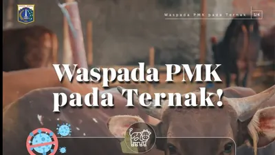 Masyarakat Diminta Lebih Waspada dengan Kondisi Hewan Kurban yang Berpotensi Terinfeksi Virus PMK