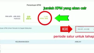 Penyaluran Bansos PKH dan BPNT Tahap Kedua Mulai Dilakukan, Inilah Kategori Calon KPM yang Tidak akan Mendapatkan Bantuan