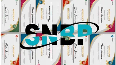 7 Sertifikat Penunjang Strategi Lolos SNBP 2025, Auto Disukai Banyak Perguruan Tinggi Negeri