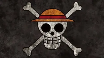 Menurut sebagian pelaku pengibaran bendera One Piece, kain hitam bergambar Jolly Roger yang dikibarkan menjelang HUT RI ke-80 adalah bentuk kritik atas kebijakan pemerintah.