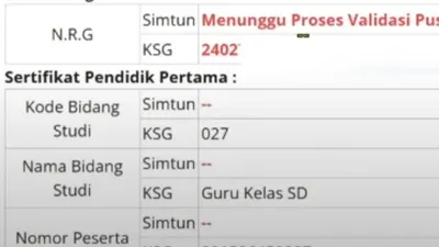 Illustrasi. Ketahui perbedaan NRG Dan KSG di dapodik