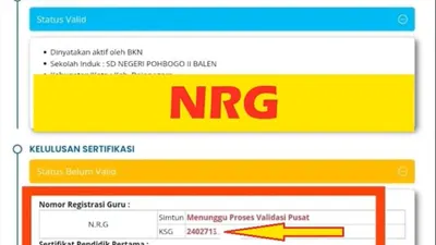Setelah sekian lama menunggu, akhirnya Nomor Registrasi Guru (NRG) telah terbit dan dapat diakses melalui Info GTK.