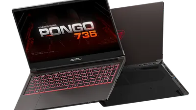 Laptop terbaru produsen Indonesia, Axioo Pongo 735 memiliki beberapa kekurangan yang cukup mendasar pada bagian layarnya.