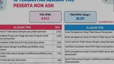 Perlu Diwaspadai Calon Pelamar CPNS 2025, Ini Alasan TMS Administrasi Terbanyak di CPNS 2024
