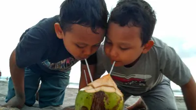 Minum Air Kelapa