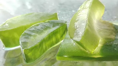 Lidah Buaya, Salah satu Bahan Alami.