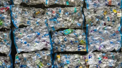 Cara Jadi Nasabah Bank Sampah DKI Jakarta, Waktunya Jadi Bagian Untuk Selamatkan Lingkungan!