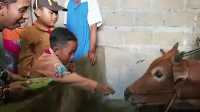 Berbekal martabak dan kue, Guru Ribut kemudian mendatangi kandang Sapi milik Kamali yang merupakan tetangga di sekitar rumah Desril.