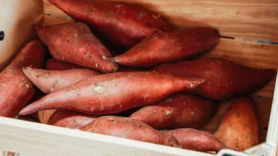 Dengan berbagai macam kandungan ataupun nutrisi di dalamnya, beberapa jenis tanaman akar bahkan memiliki nilai ekonomis yang tinggi.