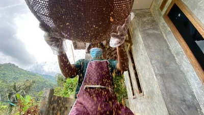 Tak hanya memberikan pembiayaan, BRI juga aktif mendampingi, membina, hingga mempertemukan pelaku UMKM dengan pasar internasional.