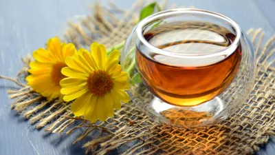 Ilustrasi Ramuan Herbal