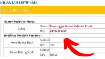 Guru PPG Wajib Tahu! Inilah Perbedaan NRG, KSG, dan SIMTUN di Info GTK, Cek Penjelasannya di Sini
