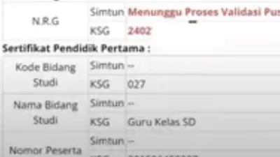 Illustrasi. Cara Mudah Cek Memunculkan NRG di Info GTK, TPG Auto Cair di Triwulan Pertama 2025