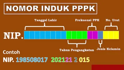 Meskipun peraturan resmi tentang manajemen PPPK Part Time belum diterbitkan, sudah ada bocoran informasi yang beredar.