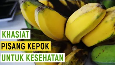 Termasuk Kategori Tanaman Rerumputan, Ini 9 Manfaat dari Rutin Makan Pisang Kepok Bagi Kesehatan!