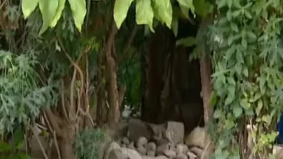 Rumah terduga pelaku pembunuhan aktor Sandy Permana, yang dikenal sebagai Nanang Irawan alias Gimbal, terletak di Perumahan Cibarusah Jaya.