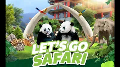 Taman Safari Indonesia diduga terlibat pelanggaran HAM kategori berat