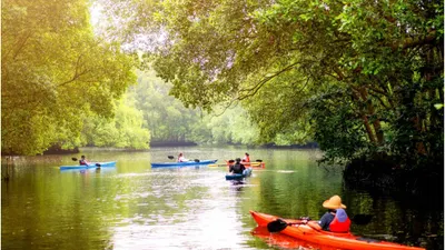 Taman Wisata Alam Mangrove Angke Kapuk
